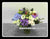 Special Arrangement  - TBF5019