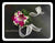 Fresh Orchid Wrist Corsage - WED0579