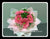 Gerbera Bouquet- FBQ1387