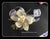 Fresh Cymbidium Wrist Corsage - WED0585