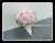 Simple Hydrangea Bridal Bouquet - WED0433