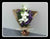 Eustoma Bouquet III  - FBQ1330val