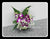 Orchid Small Arrangement - TBF4124val