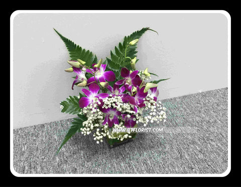 Orchid Small Arrangement - TBF4124