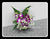 Orchid Small Arrangement - TBF4124
