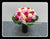 Colourful roses  (In Vase)   - TBF4076