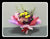 Gerbera & Orchid Bouquet  - FBQ1394