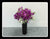 Orchid Arrangement - TBF4145