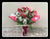 Carnation Bouquet II  - FBQ13759