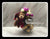 Bear with Chocolate- BWF3660