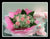 Rabbit with Rose Bouquet    - BBQ1380