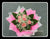 Simple Rose Bouquet II - FBQ1455val