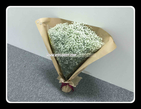 Giant Baby Breath Bouquet      - FBQ2233