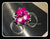 Fresh Orchid Wrist Corsage - WED0580