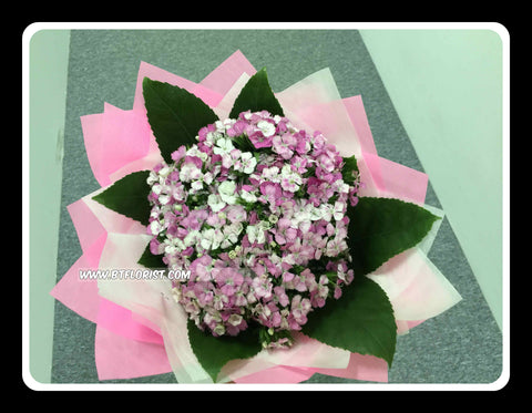 Simple Sweet William Bouquet - FBQ1460