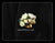 Artificial white rose Corsage  - ART0458