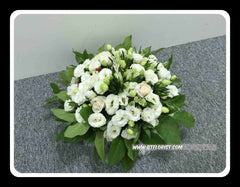 White/Green Theme II - WED0548