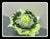 Green Rose Bouquet       - FBQ1322