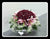 99 Rose & Lily - FBQ2088