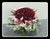 99 Rose & Lily - FBQ2088