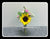 Sunflower & Carnation in Vase - TBF4148