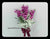 Matthiola Bridal Bouquet- WED2335