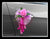 Accompany Car Artificial Flower Decoration - ACC0770