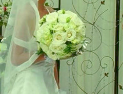Just White - WED0211