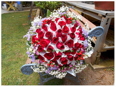 50 Roses - FBQ1132