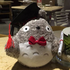 20cm Graduation Owl      - BEG630