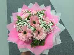 Gerbera Bouquet       - FBQ1152