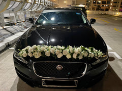Simple Modern Theme - WED07638