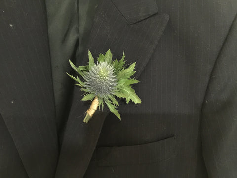 Eryngium Boutonniere - WED0253