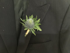 Eryngium Boutonniere - WED0253