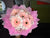 Gerbera Bouquet       - FBQ1143