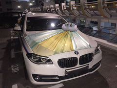 Gold/ Tiffany Theme - WED0786