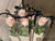 Single Rose in Special Box-  FBQ1408