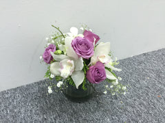 Cymbidium Arrangement - TBF4127