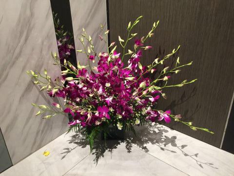 Orchid Arrangement  - TBF4048