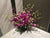Orchid Arrangement  - TBF4048