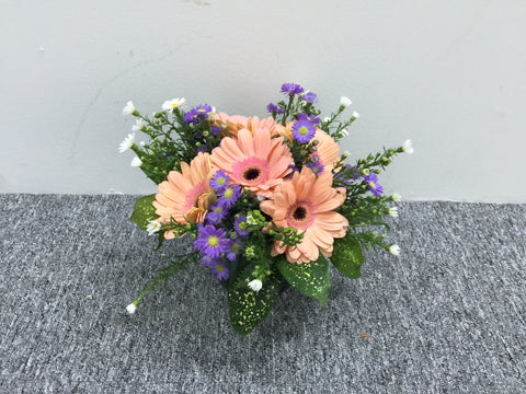 Gerbera in Vase - TBF4169