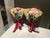 3 Stalks Rose Bouquet - FBQ1343