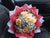 Simple Rose Bouquet - FBQ14429