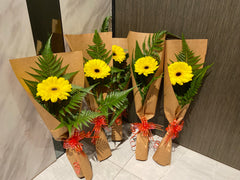 Single Gerbera- FBQ1517
