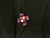 Artificial Rose Corsage  - ART0478