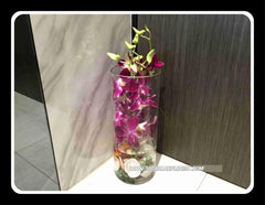 Orchid in a tall Vase - TBF41481