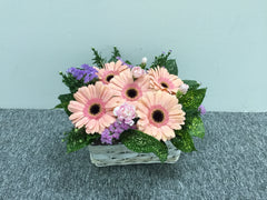 Gerbera Basket  - FLB5625
