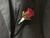 Just Rose Corsage - WED0313