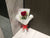 Single Rose Bouquet - FBQ1433