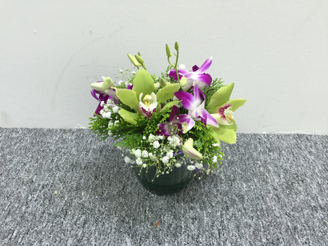 Cymbidium Arrangement - TBF4126